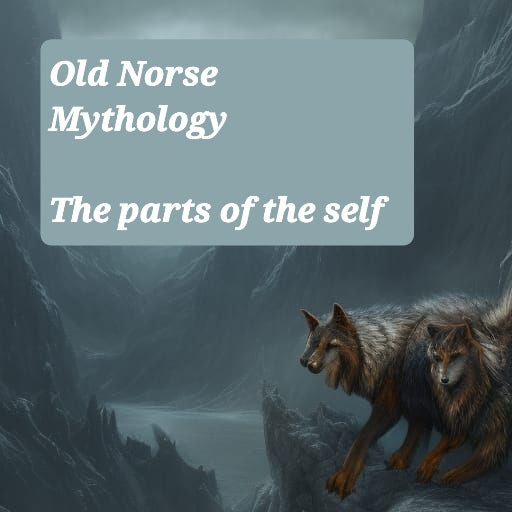Old Norse Parts Of The Self. Part 1.