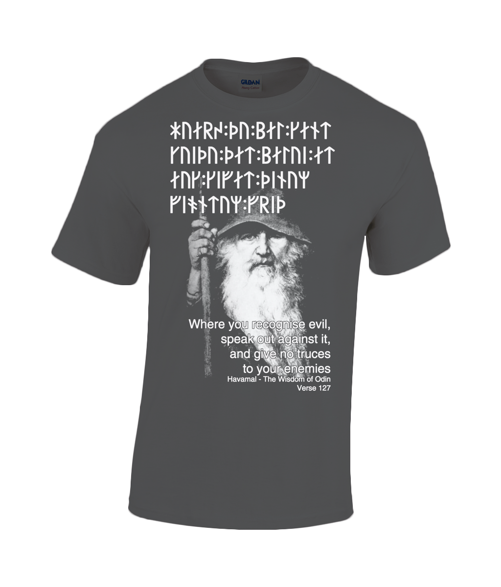 Havamal 127 - Where you Recognise Evil Heavy Cotton T-Shirt